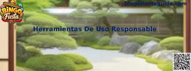 Guía visual sobre Herramientas De Uso Responsable en Bingo Fiesta