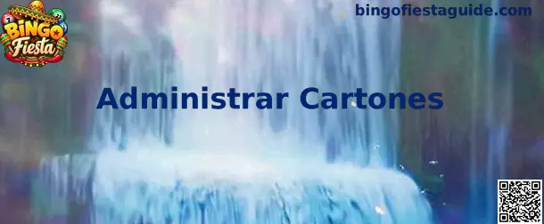 Ejemplo visual para organizar y administrar varios cartones de Bingo Fiesta